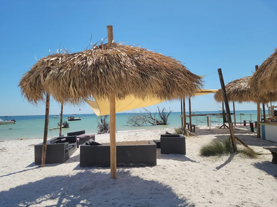 Four friends who bought deserted Florida island for $65,000 reveal why they turned down $10 million offers