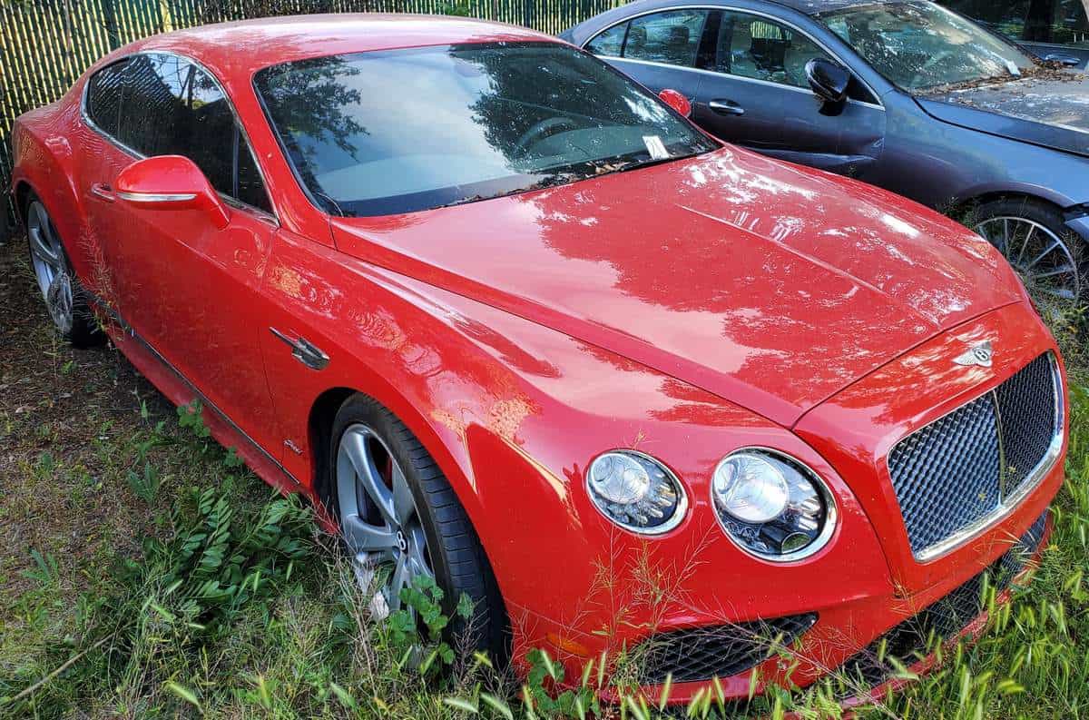 One of the luxury cars was a red Bentley sitting in a patch of grass.