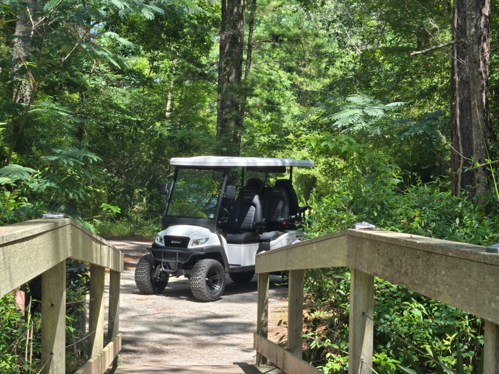 In Peachtree City, Georgia, golf carts rule the roads and even have their own police patrols