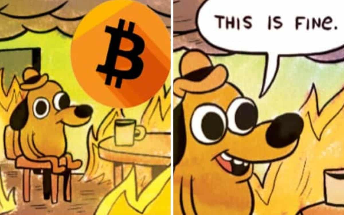 'This is fine' meme with an inset of Bitcoin.'This is fine' meme with an inset of Bitcoin.