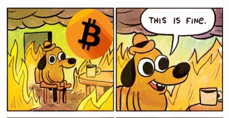 'This is fine' as crypto explodes'This is fine' as crypto explodes