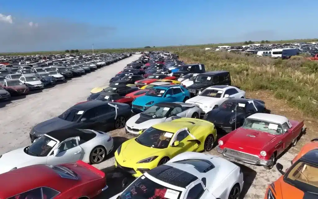 Brothers-visit-lot-in-Florida-full-of-thousands-of-cars-ruined-by-hurricanes-and-are-left-astonished