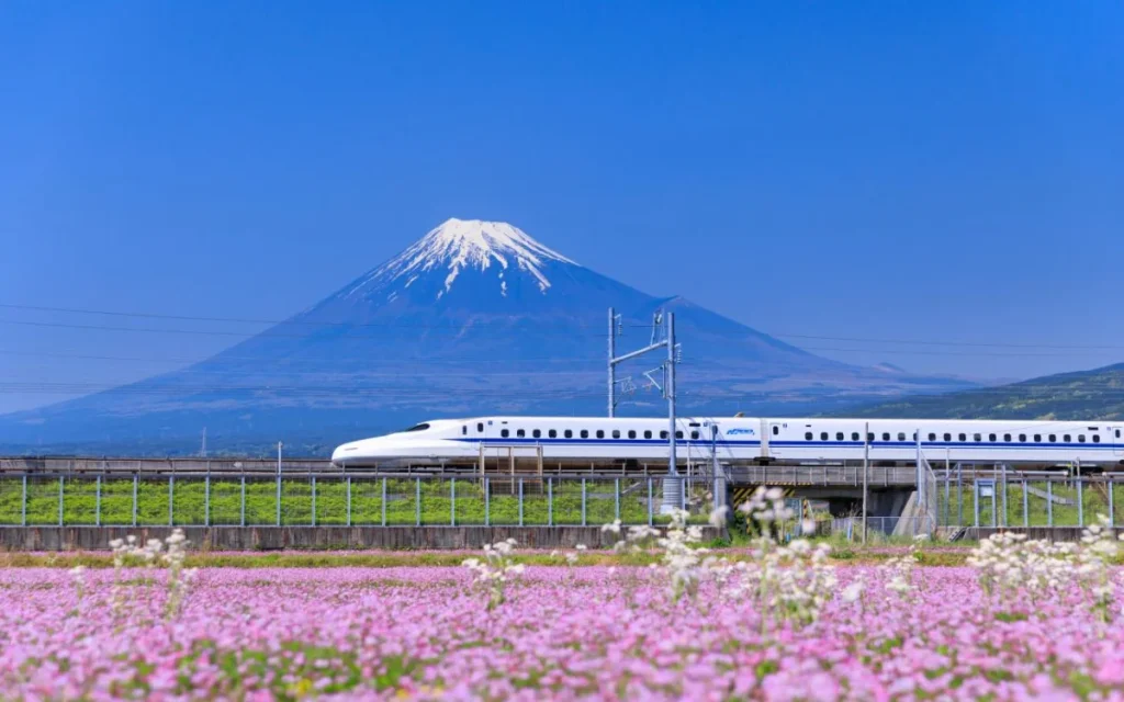 Japan suffered an enormous megaquake in 2011 - yet not one of Japan's bullet trains were affected by a derailment