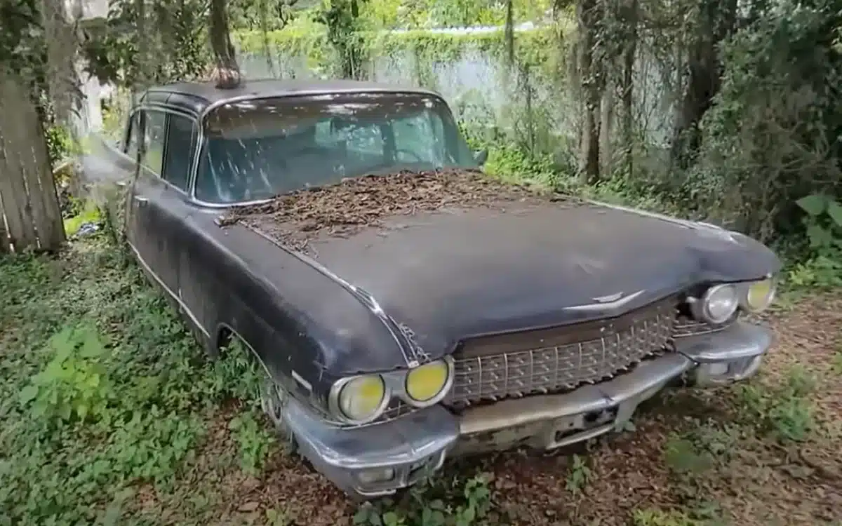 YouTuber driving through Florida randomly discovers a whole stash of extremely rare Cadillacs