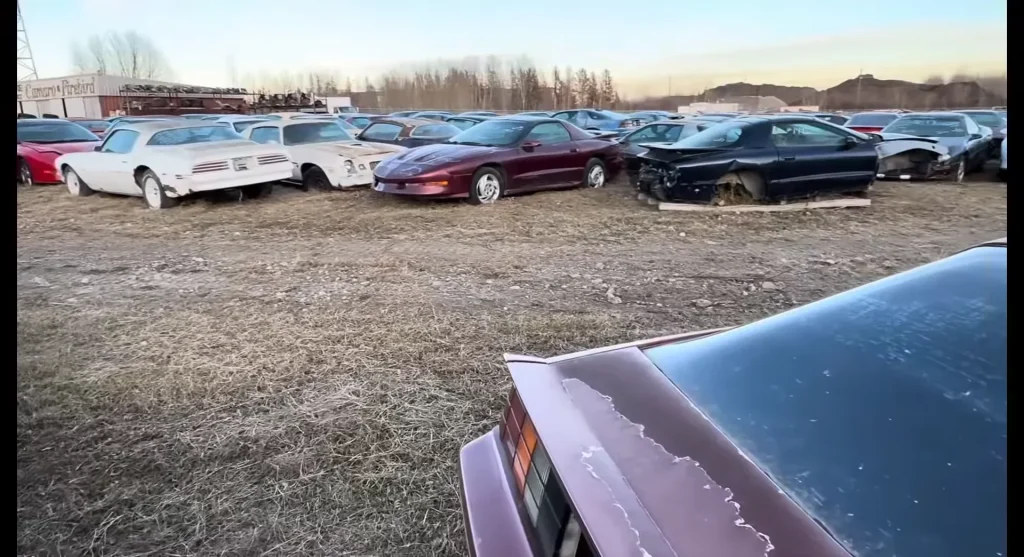 8.5 acre property in Canada filled with 1500 GM muscle cars is up for sale