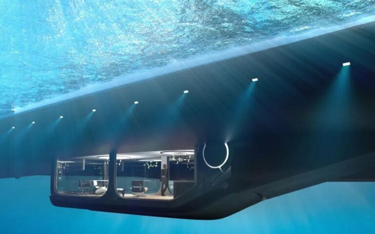 Cantharus underwater suite