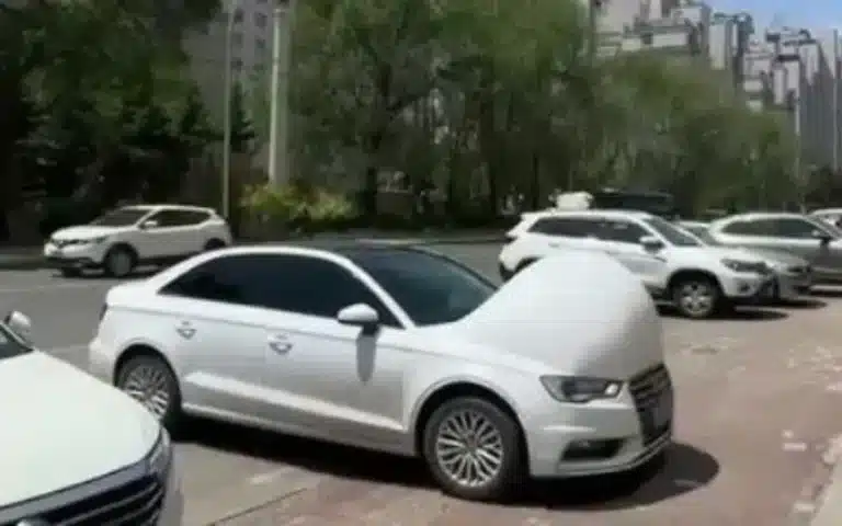 Pregnant cars in China