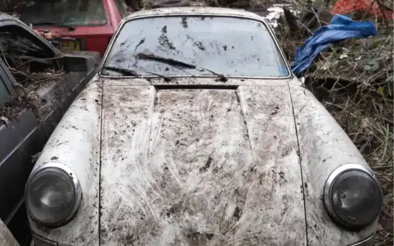 Secret garden full of abandoned and overgrown classic cars