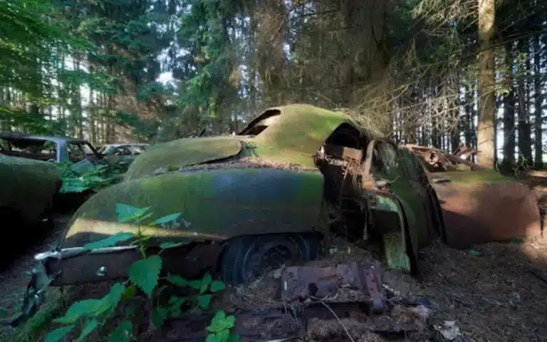 Belgian car graveyard abandoned by WWII US troops