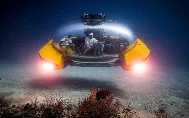 Bubble submarine takes cruise passengers to the sea floor in first-class