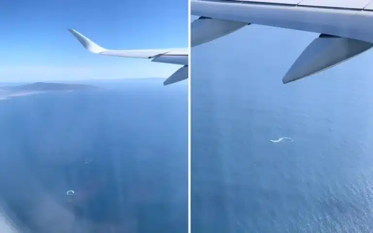 Dad sends message from his boat to daughter leaving on plane