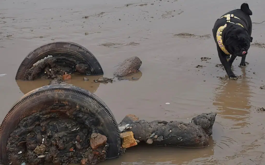 A Queensland couple uncovered a buried 1930s Austin on their anniversary beach walk, a pre-WWII time capsule swallowed by sand for 90 years