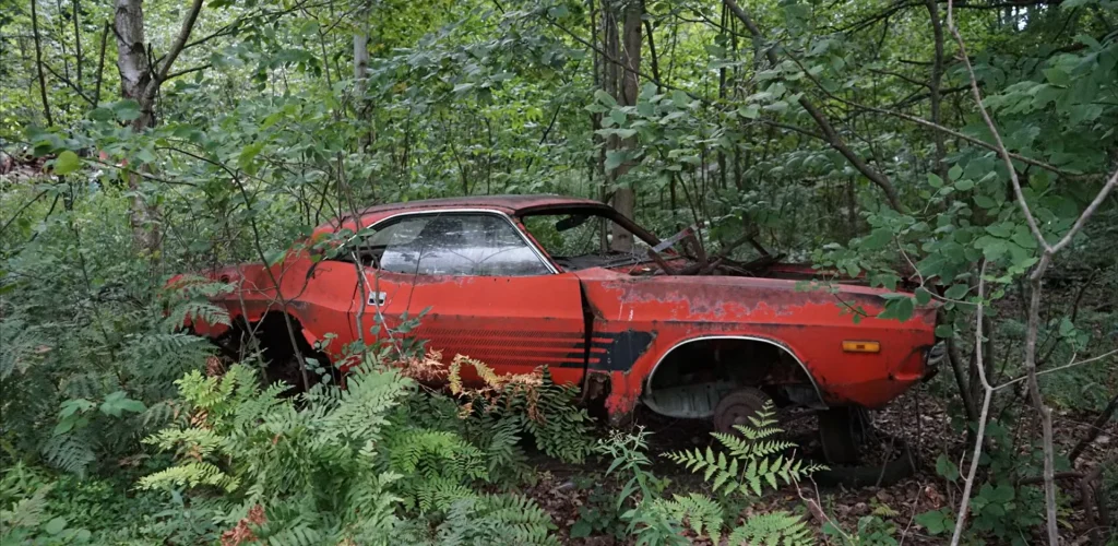 This Michigan collector turned an old sand pit into a graveyard for dozens of classic Mopar vehicles