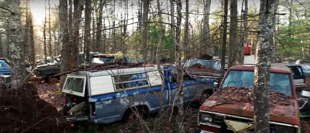 Car graveyard

US