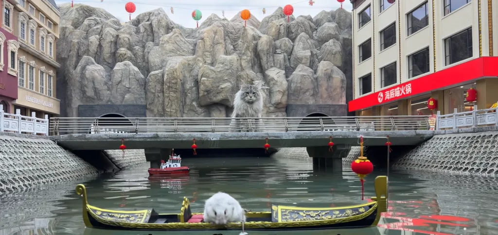 This YouTuber has built a full city for his cat featuring a working subway station to take the pet to school