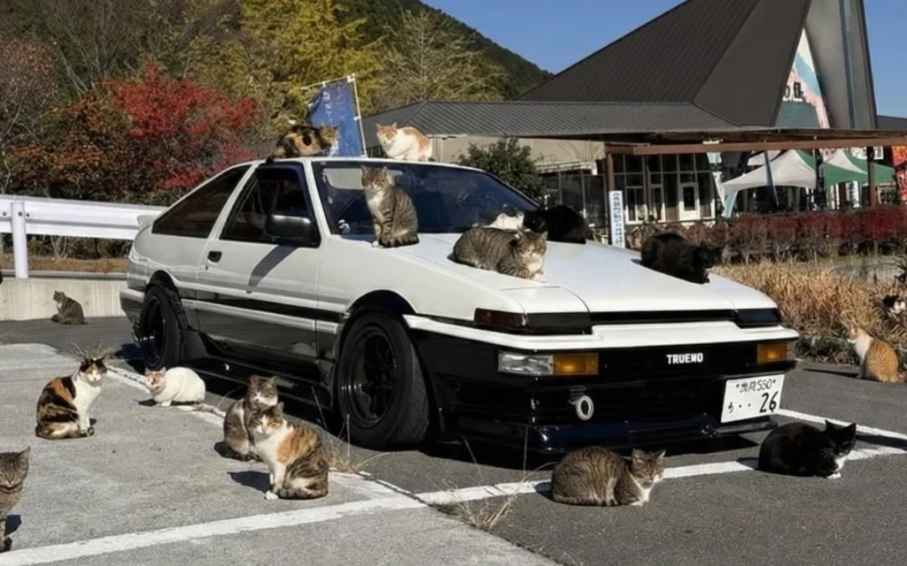 Just as you thought you'd seen everything online, you come across a Toyota AE86 that became a five-star hotel for a sleeping cats. 