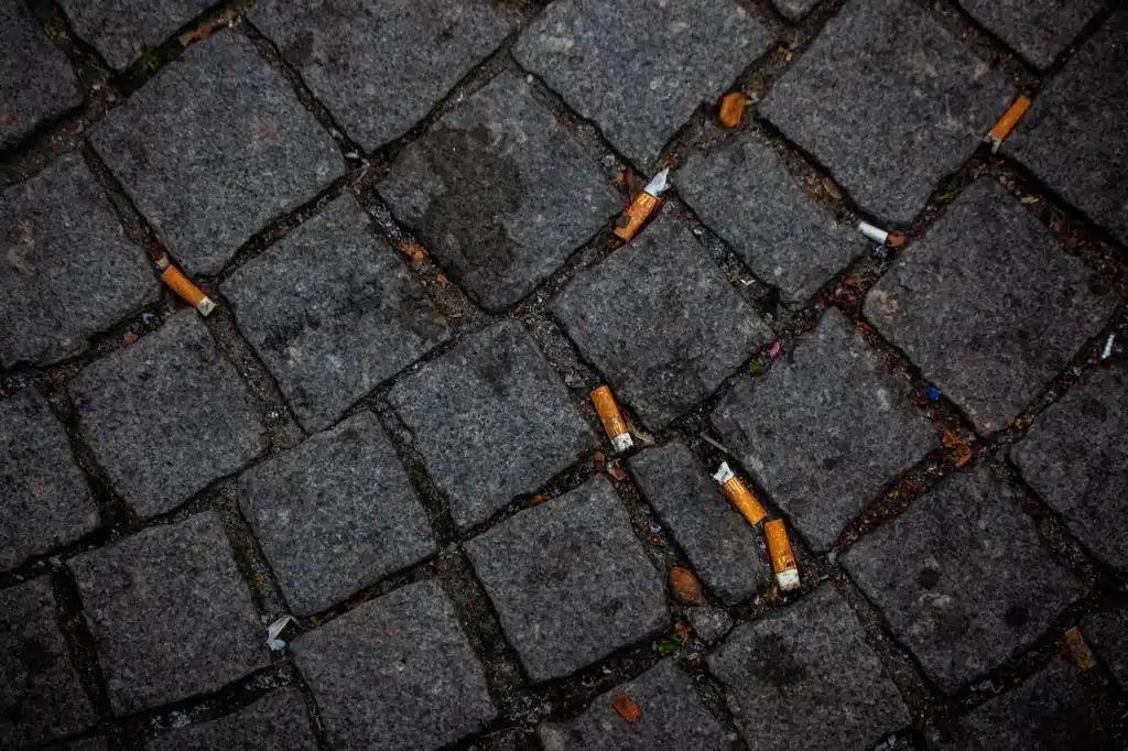 Scientists transform cigarette butts into additive that significantly improves road construction