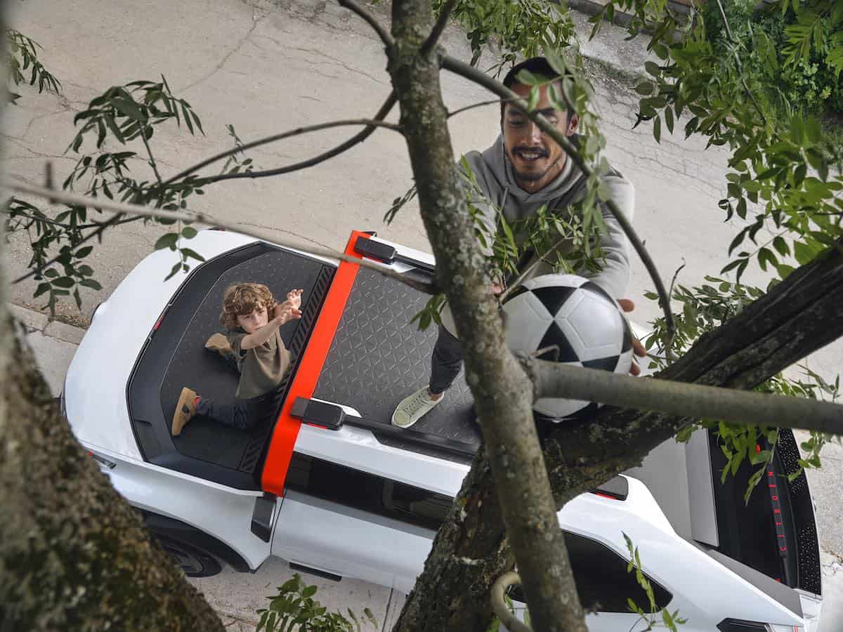 Person standing on roof of car to reach a football stuck in a tree