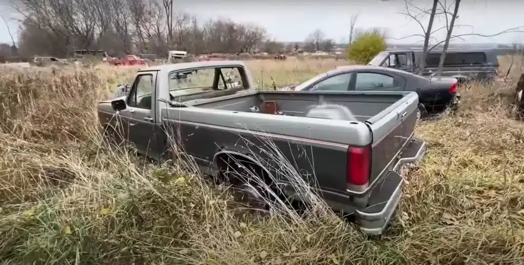 A lottery winner's hidden gems have created a classic car graveyard in the middle of nowhere after 30 years