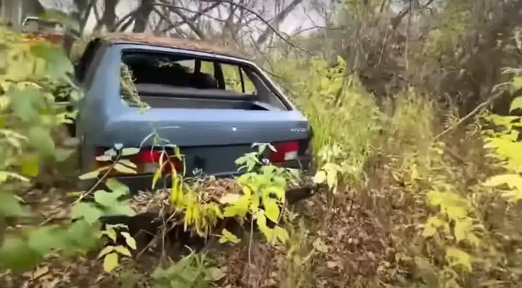 A lottery winner's hidden gems have created a classic car graveyard in the middle of nowhere after 30 years