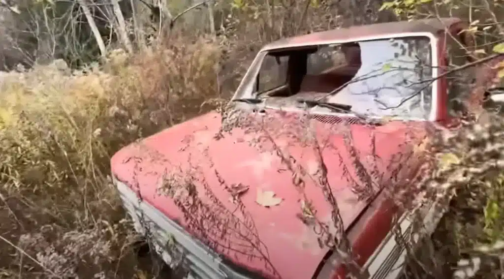 A lottery winner's hidden gems have created a classic car graveyard in the middle of nowhere after 30 years