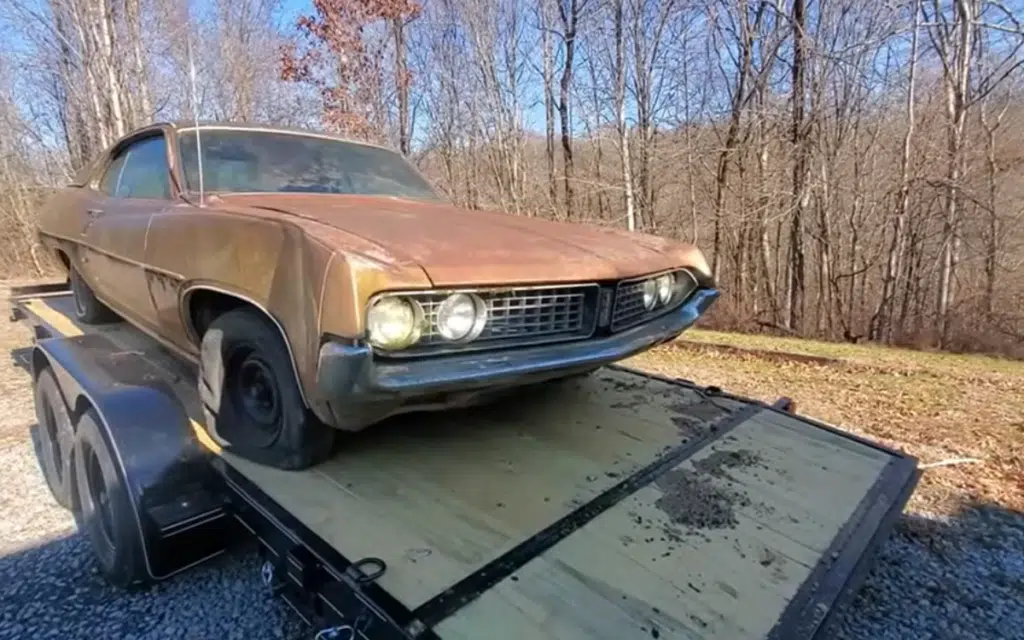 Tennessee man found a rare American icon underneath a bush