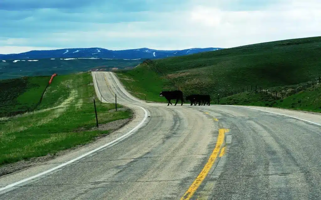 Study revealed best and worst American states to be a driver in