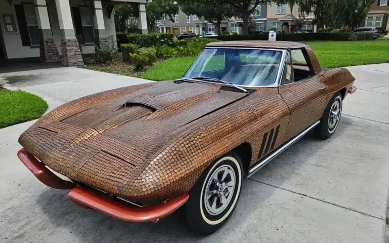 Florida man spent six months covering his 1965 Chevy Corvette in actual pennies