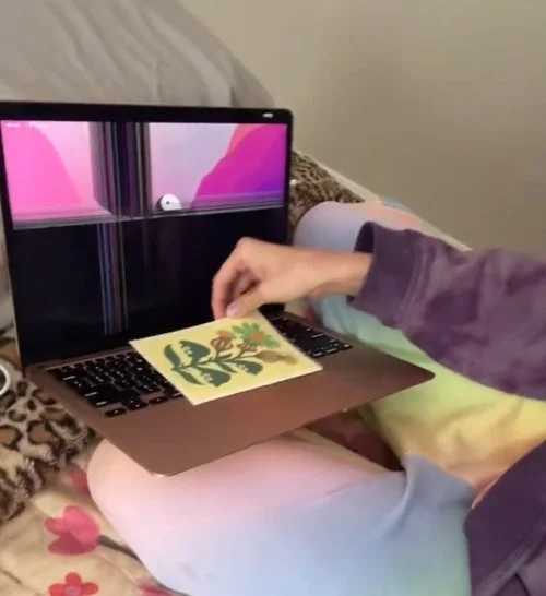 Woman claims a simple mistake destroyed her Apple MacBook screen and thinks people should listen up