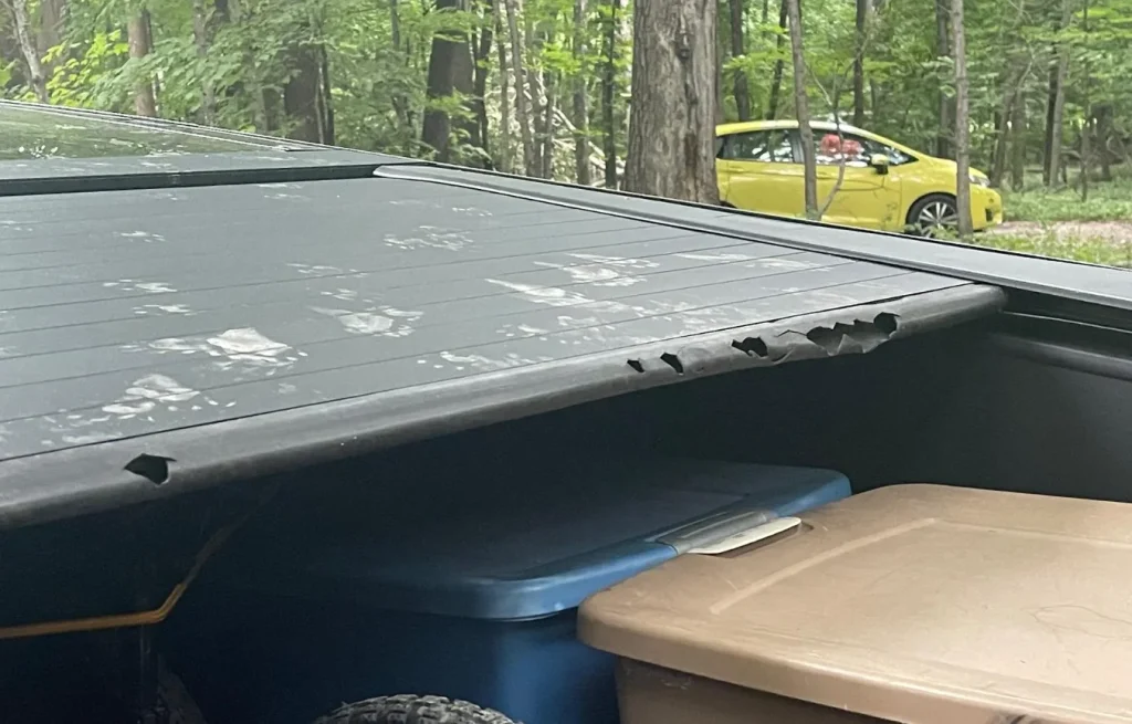 Minnesota man camping in Tesla Cybertruck wakes up to find raccoons trying to break in after mistaking truck for a dumpster