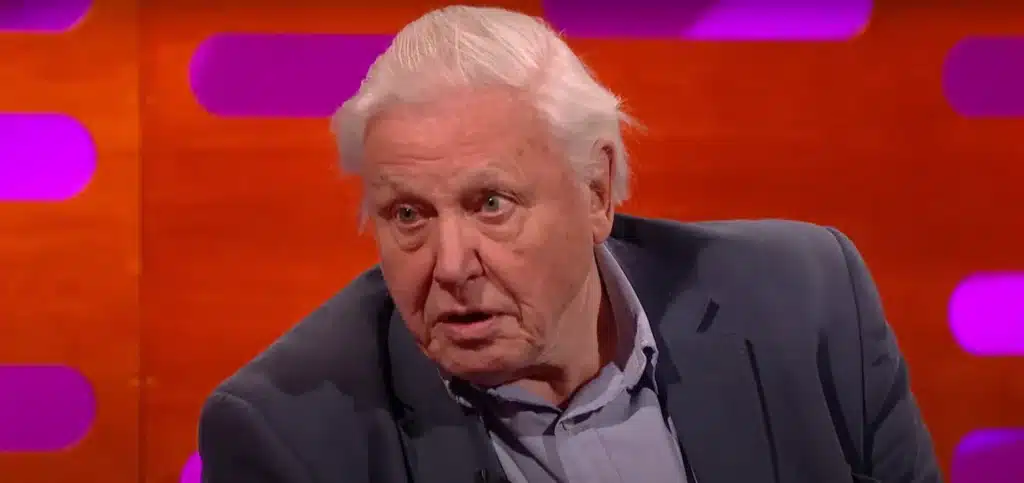 Sir David Attenborough turns 99 and has never driven or passed his test