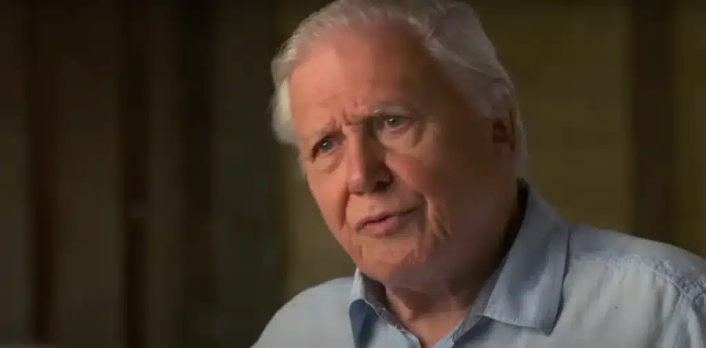 Sir David Attenborough turns 99 and has never driven or passed his test