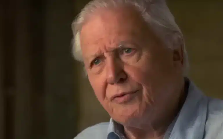 Sir David Attenborough turns 99 and has never driven or passed his test