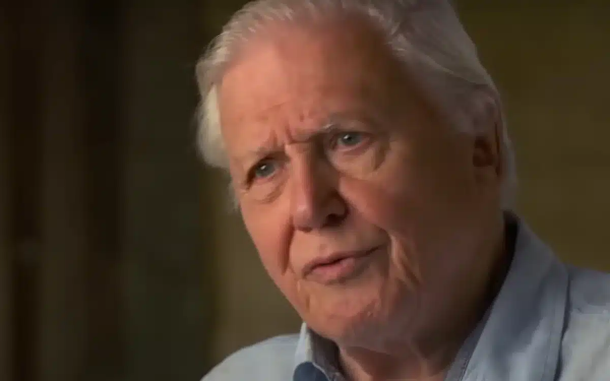Sir David Attenborough turns 99 and has never driven or passed his test