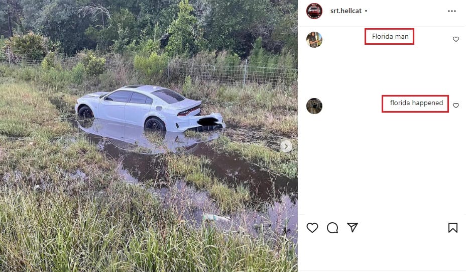 Dodge Charger in a swamp, Florida happened