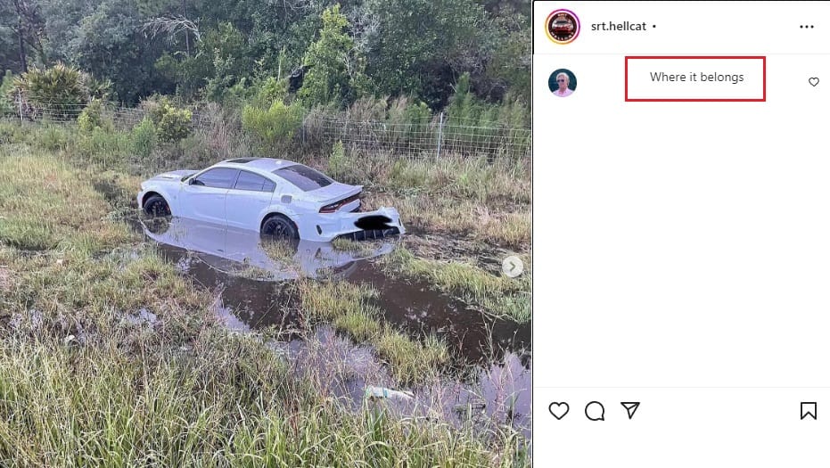 Dodge Charger in a swamp, where it belongs comment