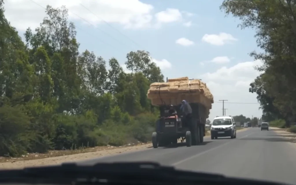 Driving a Ferrari in the desert sounds bold, but this is exactly what YouTuber Sam Fane did, driving his Ferrari 360 Modena to the Sahara.