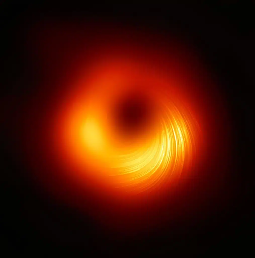 The black hole in polarized light