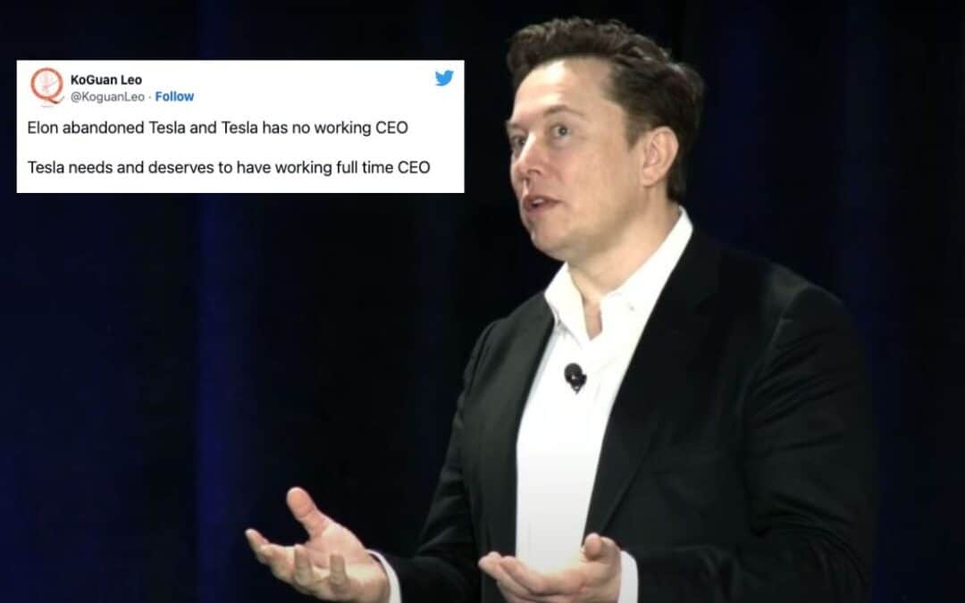 ‘Elon abandoned Tesla’: Billionaire shareholder calls on Musk to step down as CEO