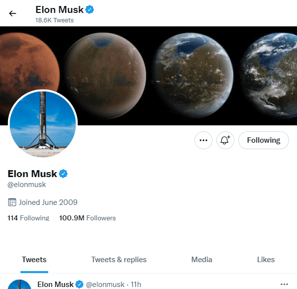 Elon Musk's Twitter page