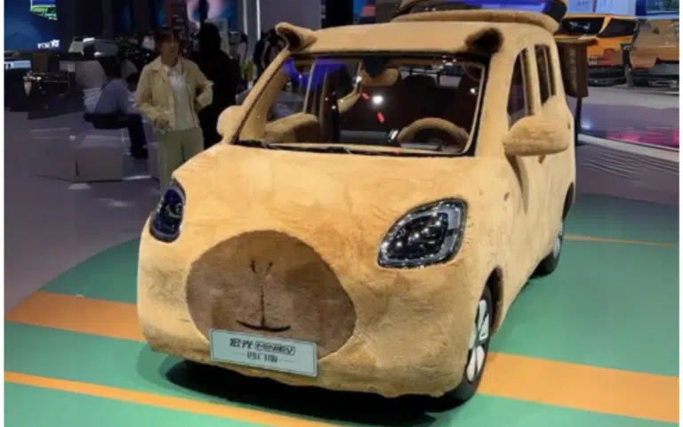 Mind-boggling Chinese EV comes with fur inside and out