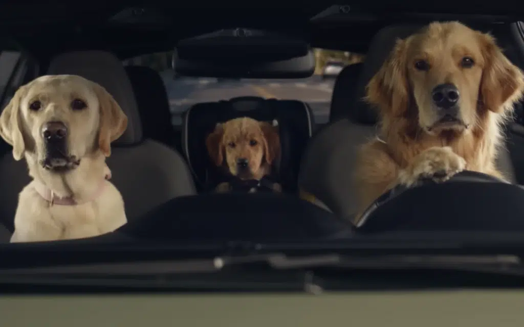 Subaru dog advertisements are paws-itively driving sales and stealing hearts everywhere
