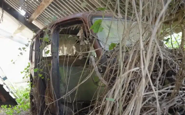 YouTuber discovers a mystery car from decades ago that's hidden in his neighbor's hedge