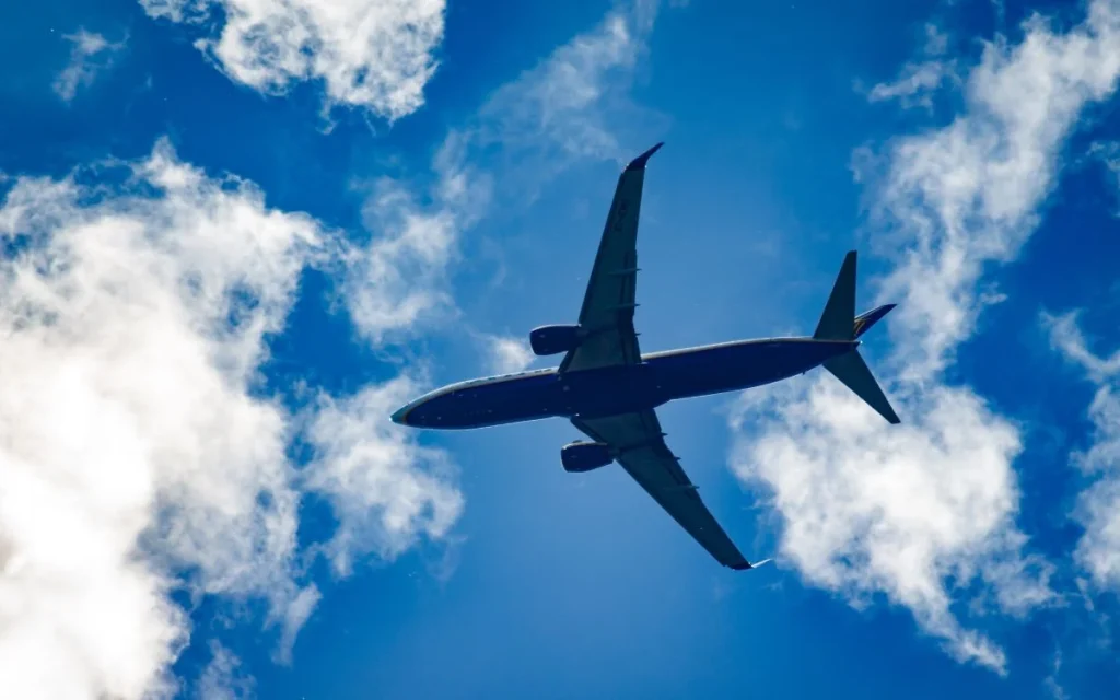 Chinese man uses first-class plane ticket to eat free for an entire year