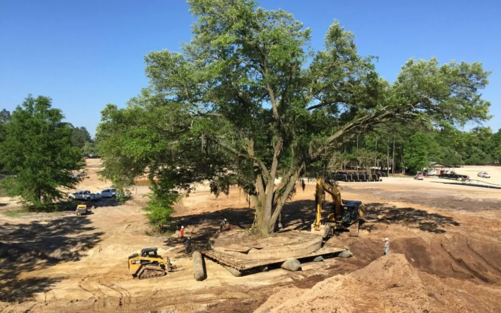 Texas crews are using futuristic tech to relocate a living 400-year-old landmark