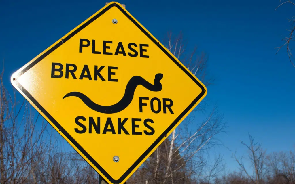 Road in Illinois closes two times every year to let snakes cross