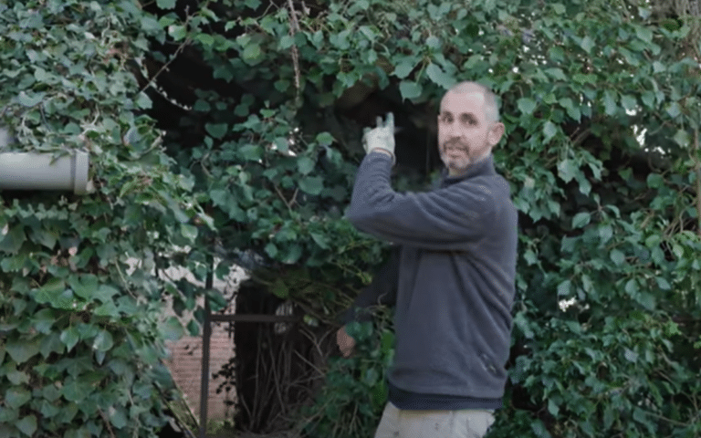 YouTuber filming muscle car reveal discovers huge surprise in neighbor’s hedge - it's a Bristol 408