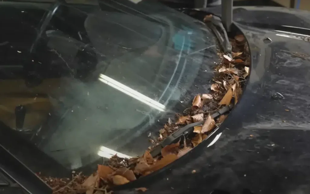 Man can't find believe it after seeing everyone's dream car abandoned in the Michigan woods