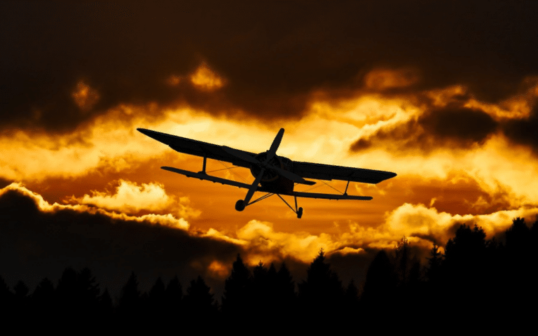 Featured-Image-8-1