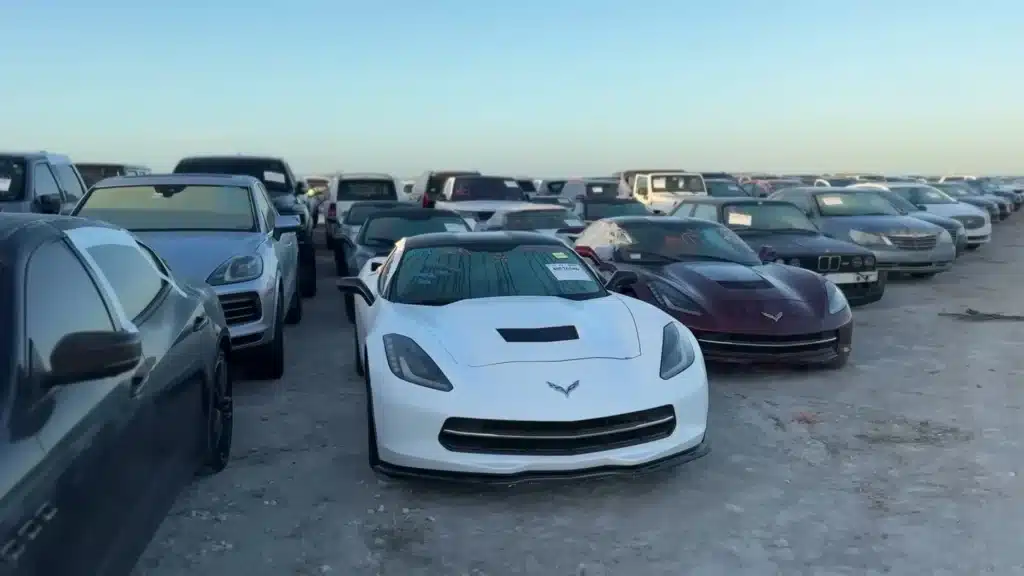 Florida-auction-lots-filled-with-cars-ruined-by-hurricane